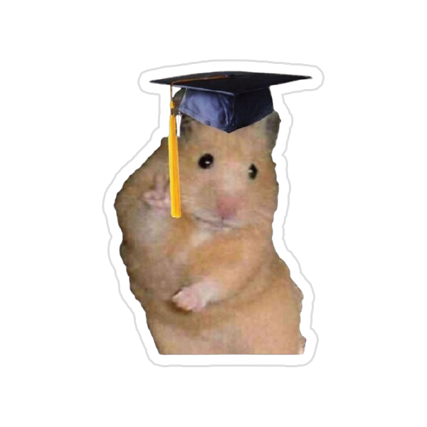 Studying {13} Preview Image