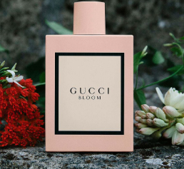 GUCCI BLOOM Preview Image