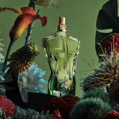 JPG PARADISE Preview Image