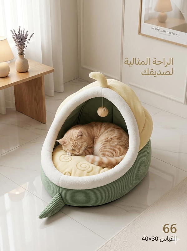 منام تسلسل 66 Image 2 Preview