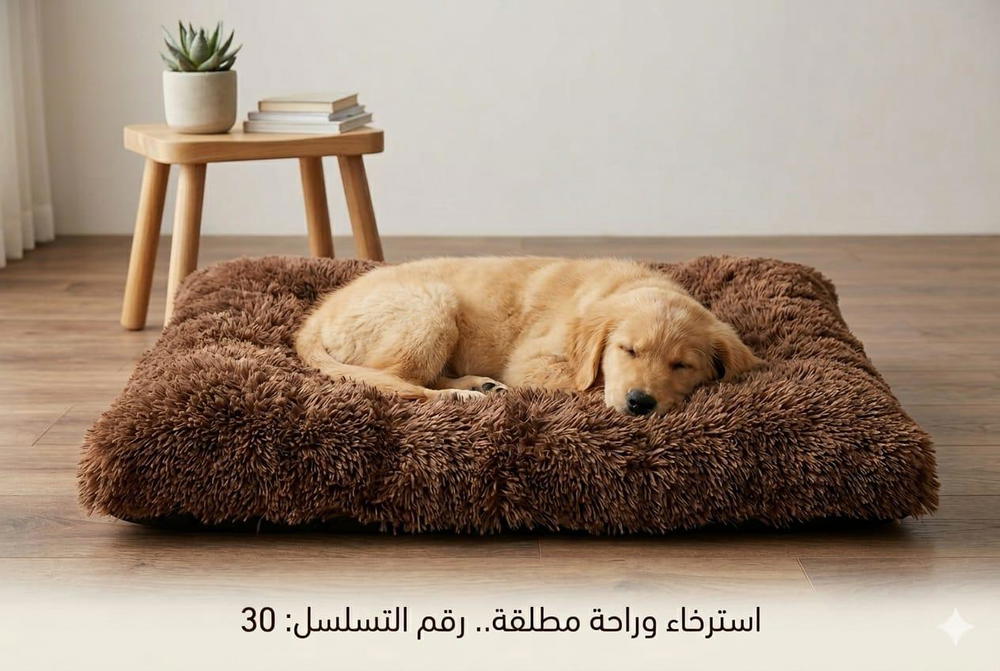 منام تسلسل 30 Preview Image