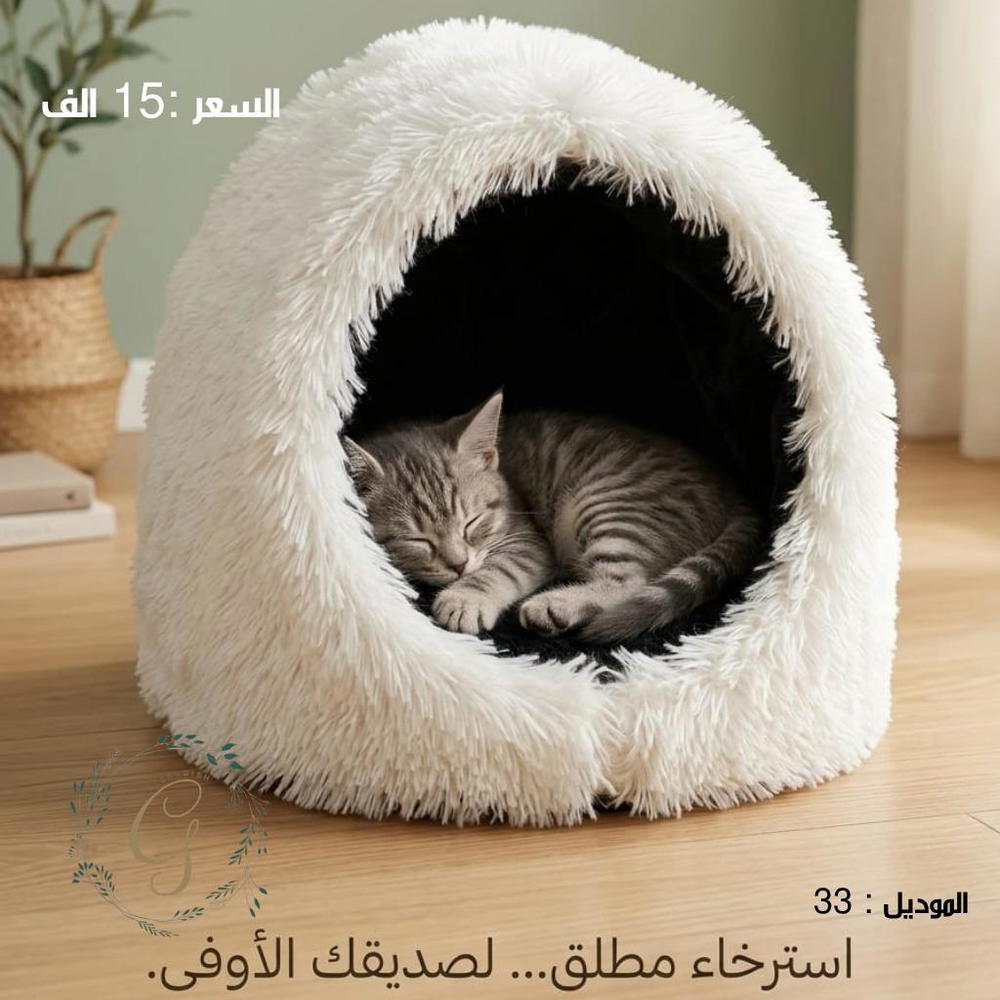 منام تسلسل 33 Preview Image