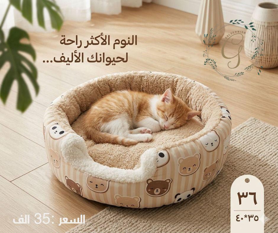 منام تسلسل 36 Preview Image
