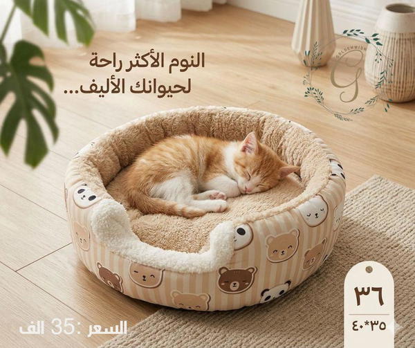 منام تسلسل 36 Image 1 Preview
