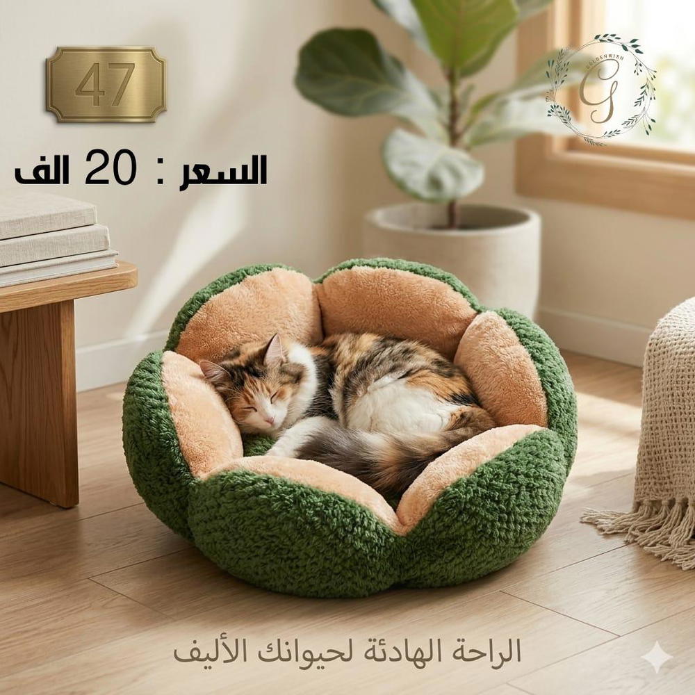 منام تسلسل 47 Preview Image