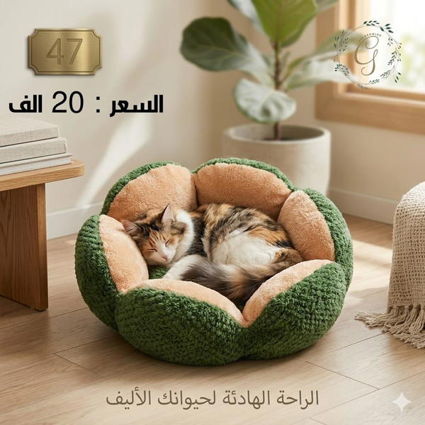 منام تسلسل 47 Image 1 Preview