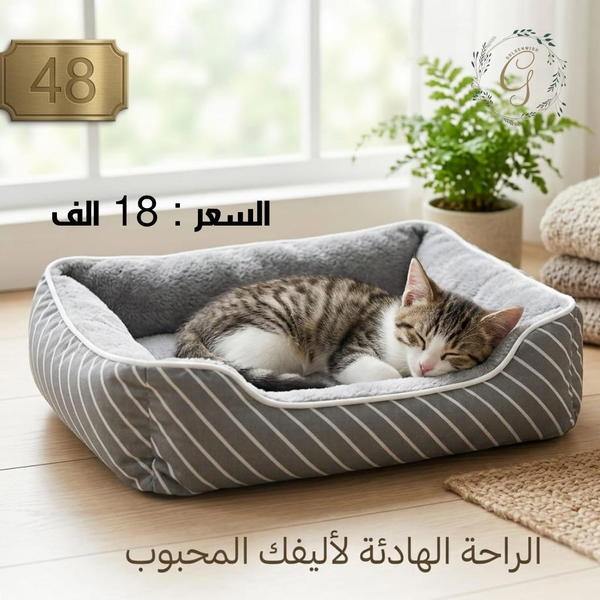 منام تسلسل 48 Image 1 Preview