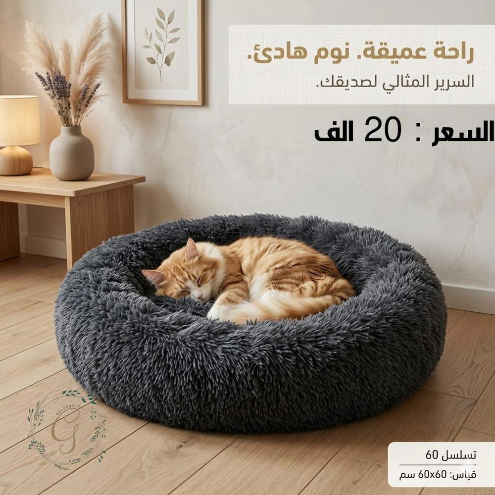 منام تسلسل 60 Preview Image
