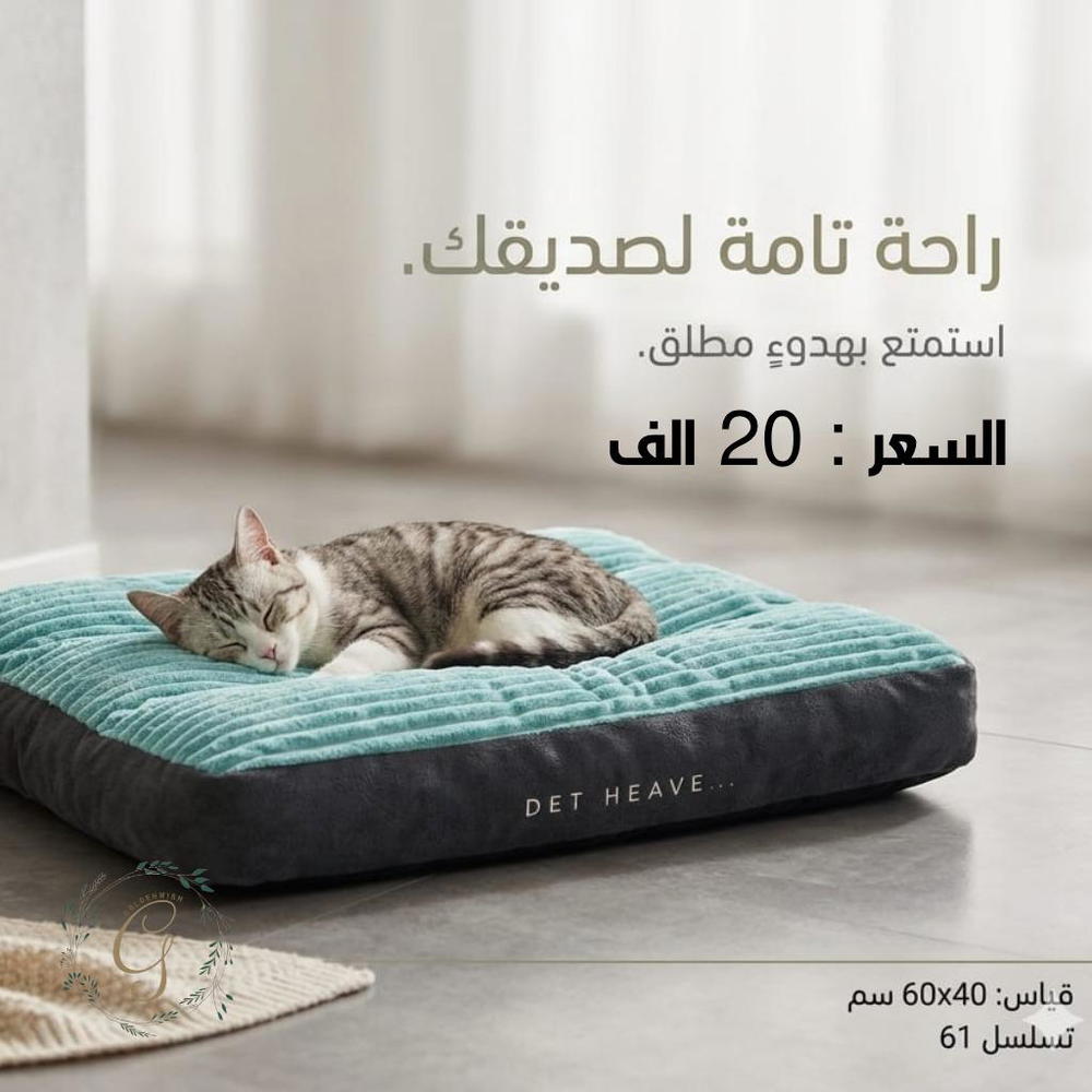 منام تسلسل 61 Preview Image
