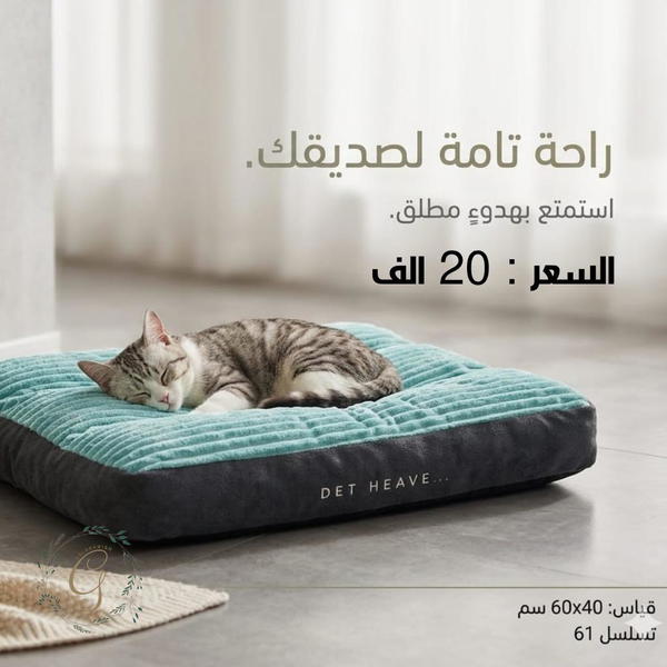 منام تسلسل 61 Image 1 Preview
