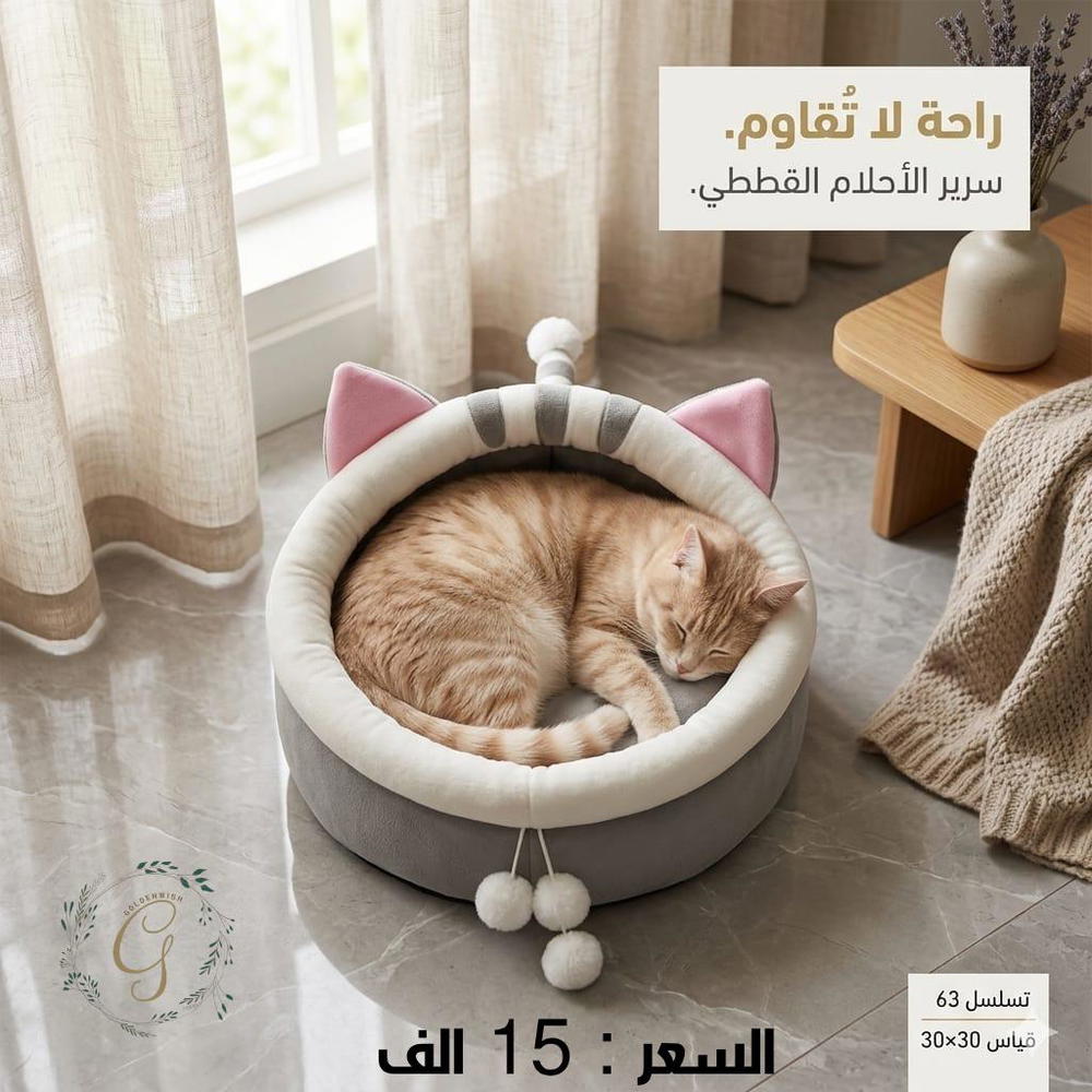 منام تسلسل 63 Preview Image