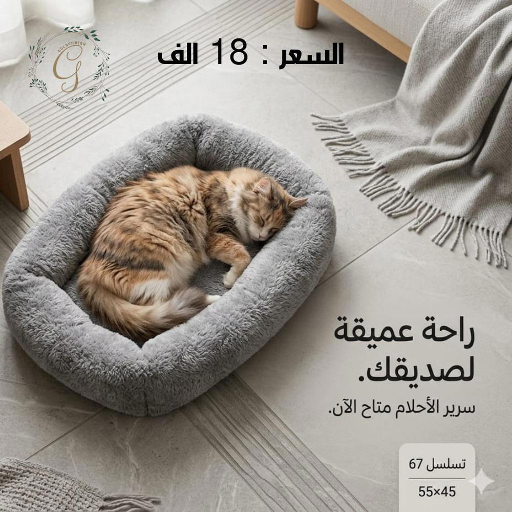 منام تسلسل 67 Preview Image