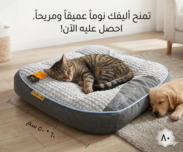 منام تسلسل 80 Image 1 Preview