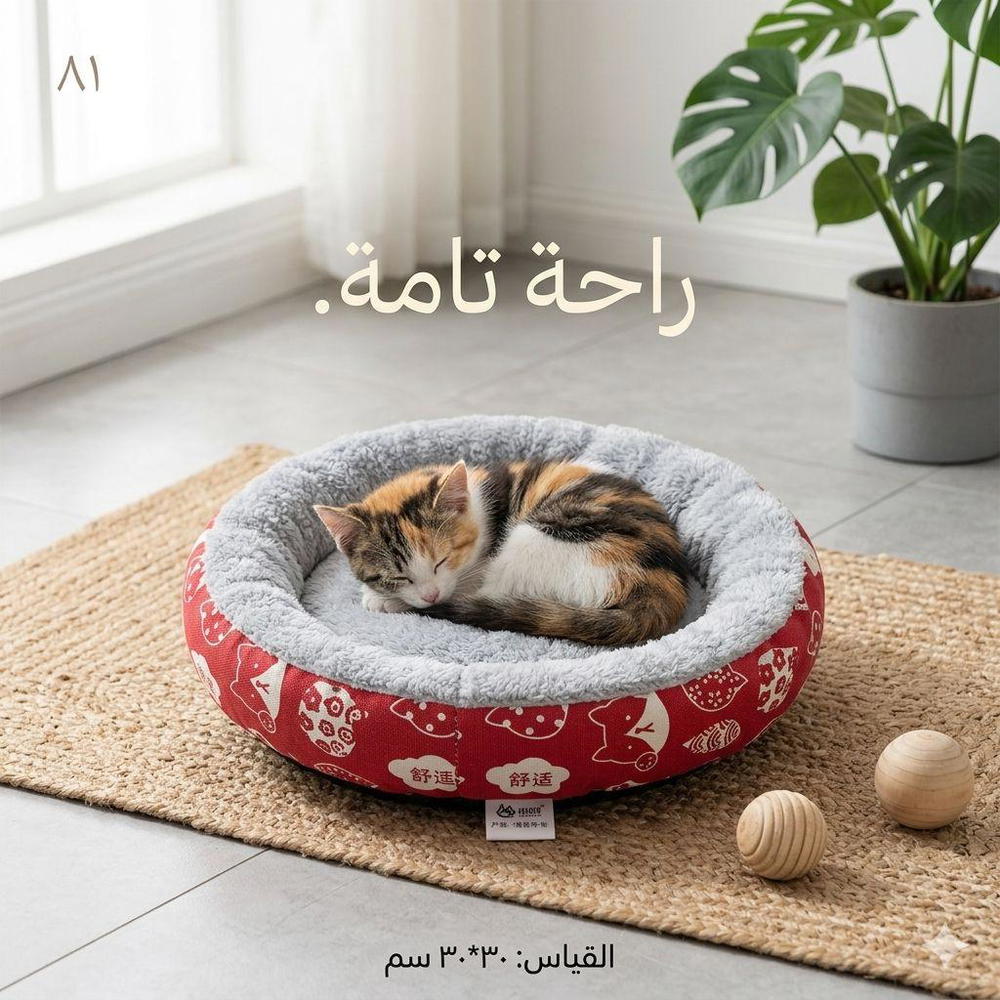 منام تسلسل 81 Preview Image