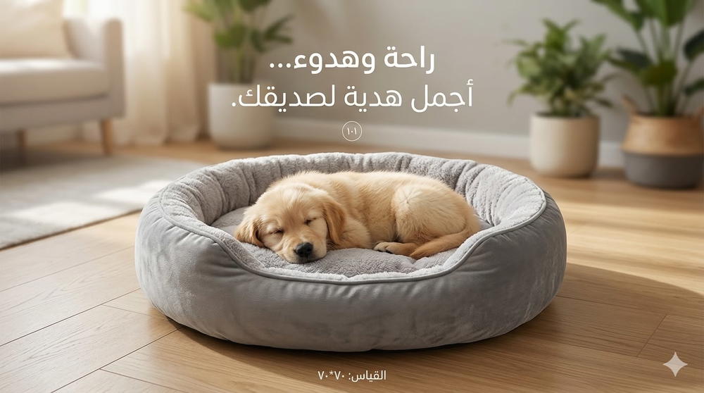 منام تسلسل 101 Preview Image