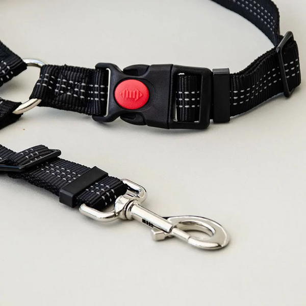 حبل قياده  Image 2 Preview