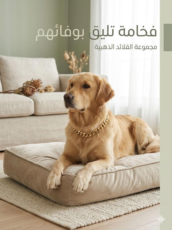 طوق كارتير Image 1 Preview