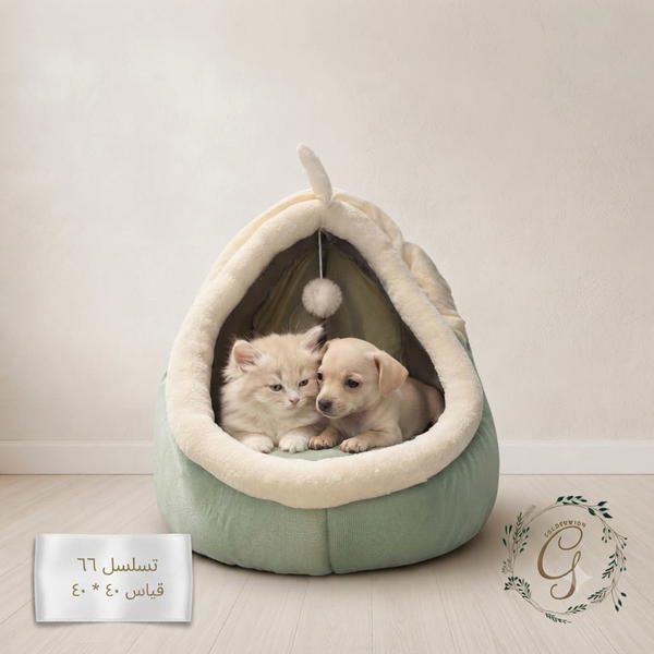 منام تسلسل 66 Image 1 Preview