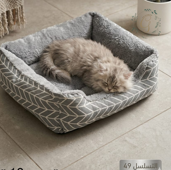 منام تسلسل 49 Image 1 Preview