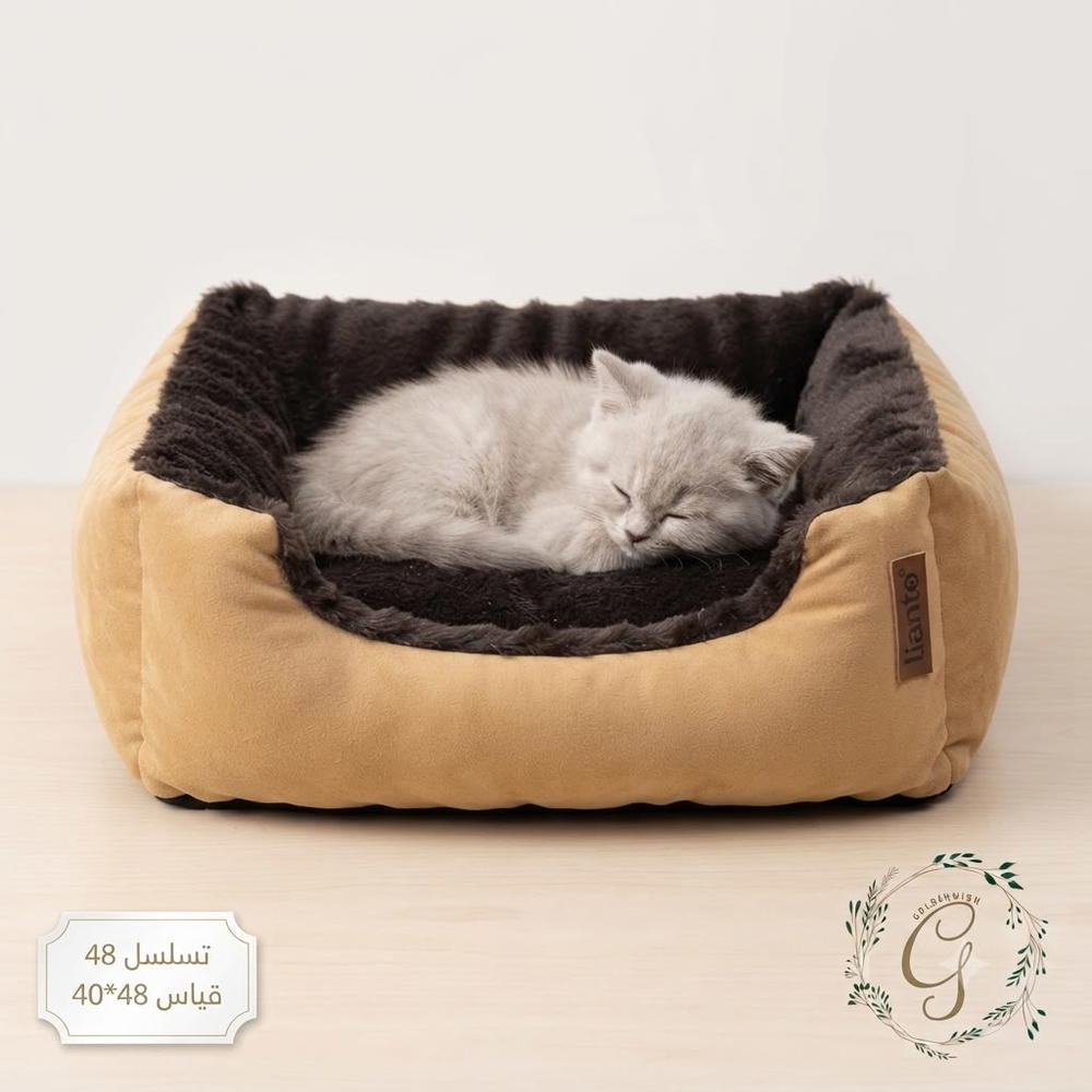 منام تسلسل 48 Preview Image