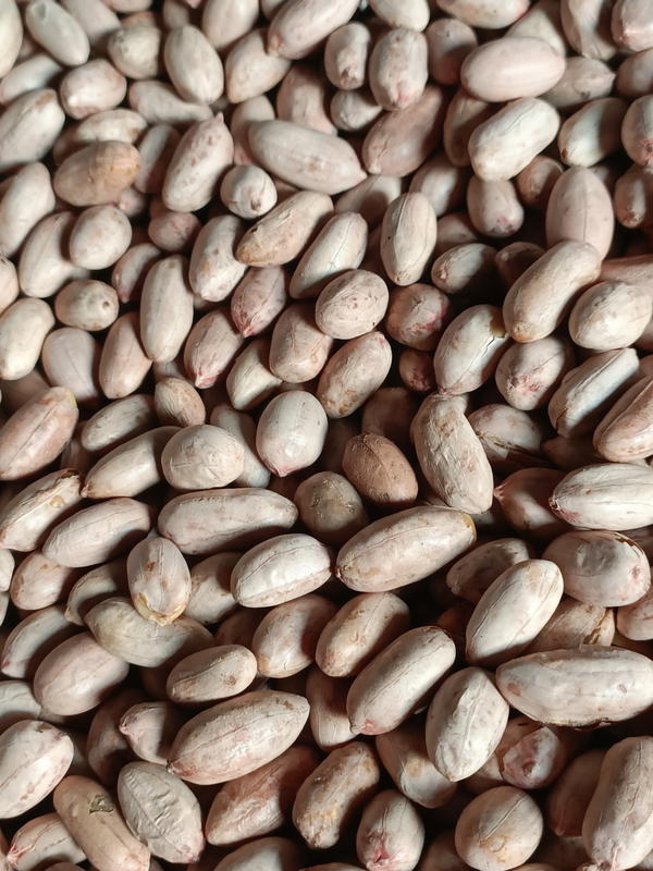 سوداني أسواني  Image 1 Preview