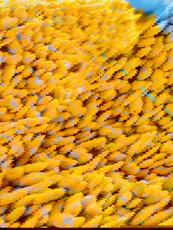 سوداني بقشرة محمص مملح  Image 1 Preview