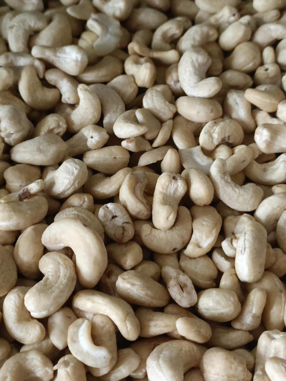 كاجو وسط نيء  Preview Image