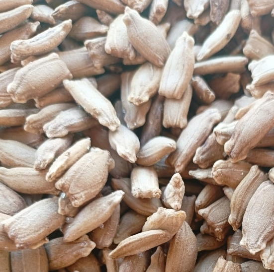 لب خشب محمص مملح  Preview Image