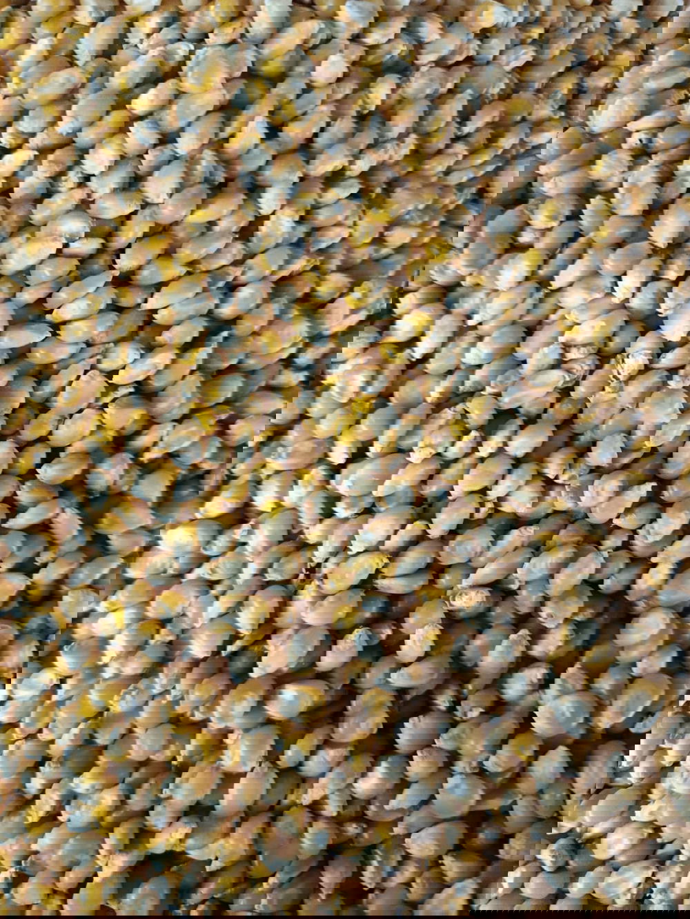 درة فشار  Preview Image