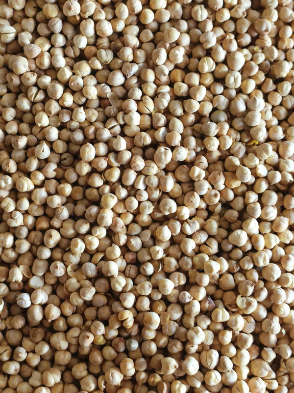 حمص أصفر بقشرة  Image 1 Preview