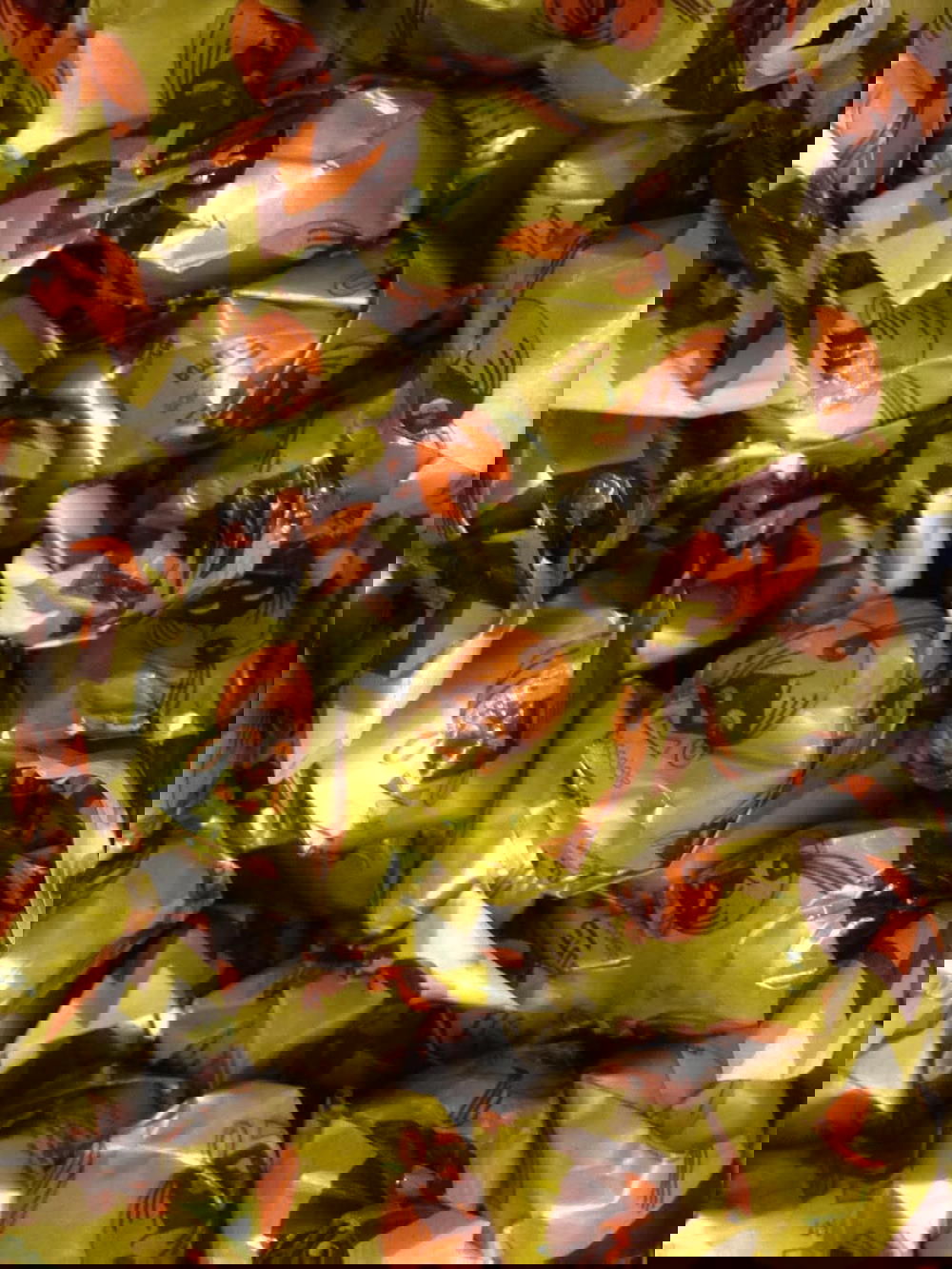 بنبون سيما فقش حشو شيكولاته  Preview Image