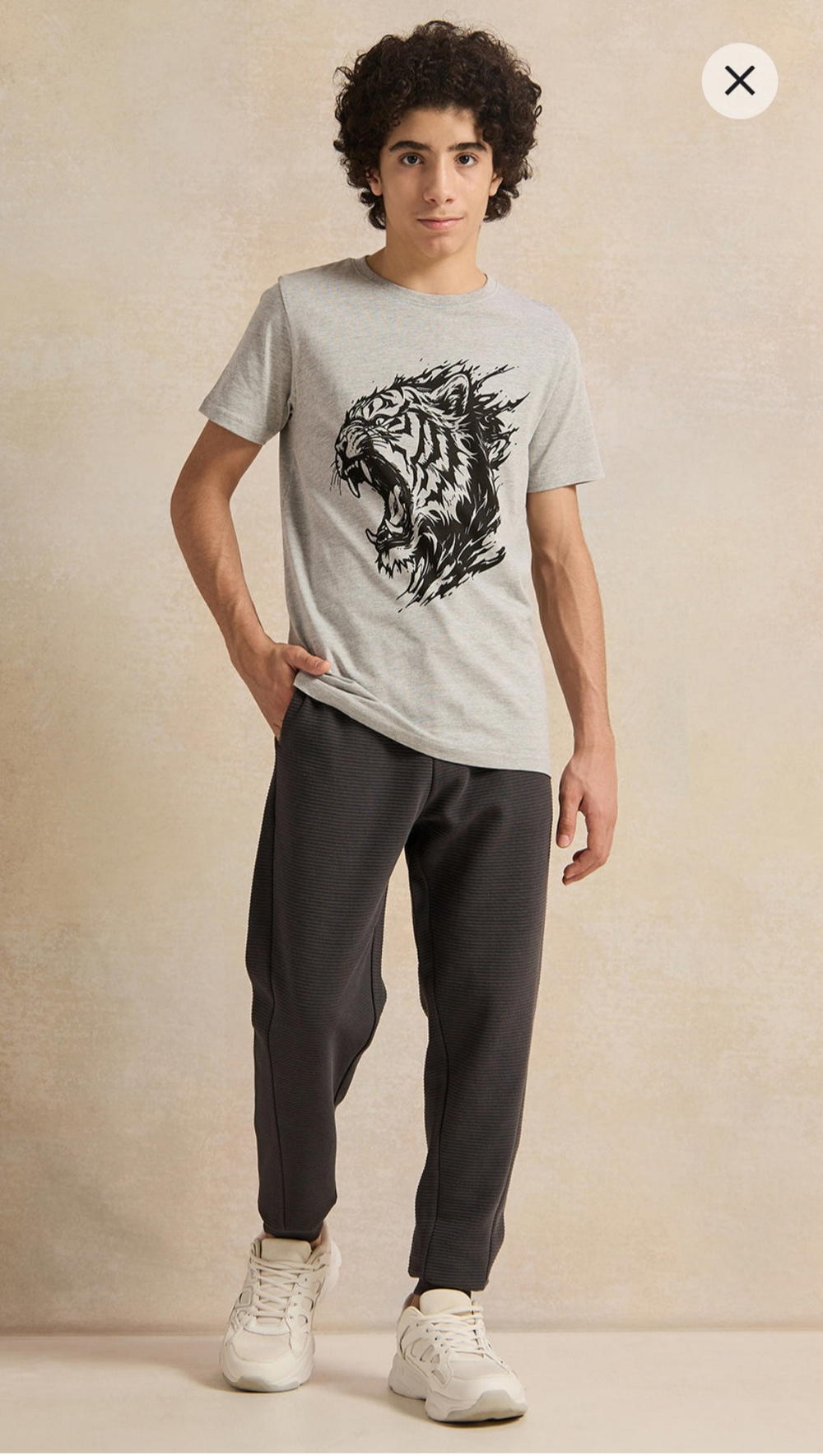 Senior Boys Grey Tiger Roaring Graphic T-Shirt Preview Image