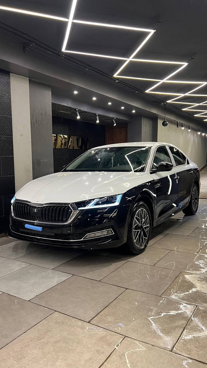 Skoda  Kodiaq  Model 2024 Preview Image