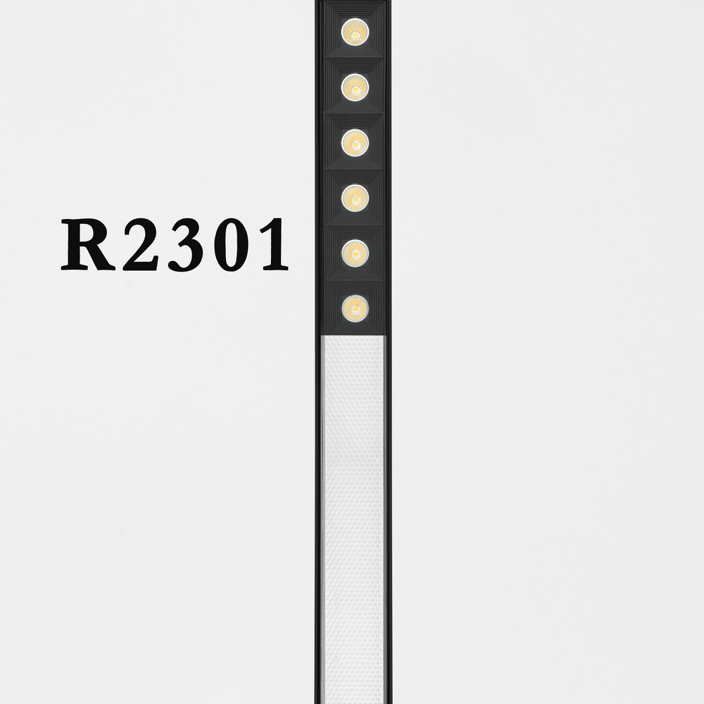 انارة مكتبية معلقة بقوة 45 واط بعدة اشكال R2301 Preview Image
