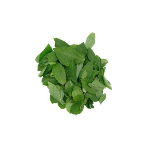 ملــــوخــــــــيـــه    1-kg Preview Image