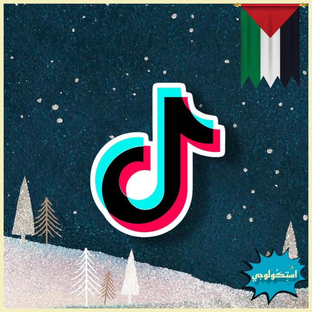 Tiktok Preview Image