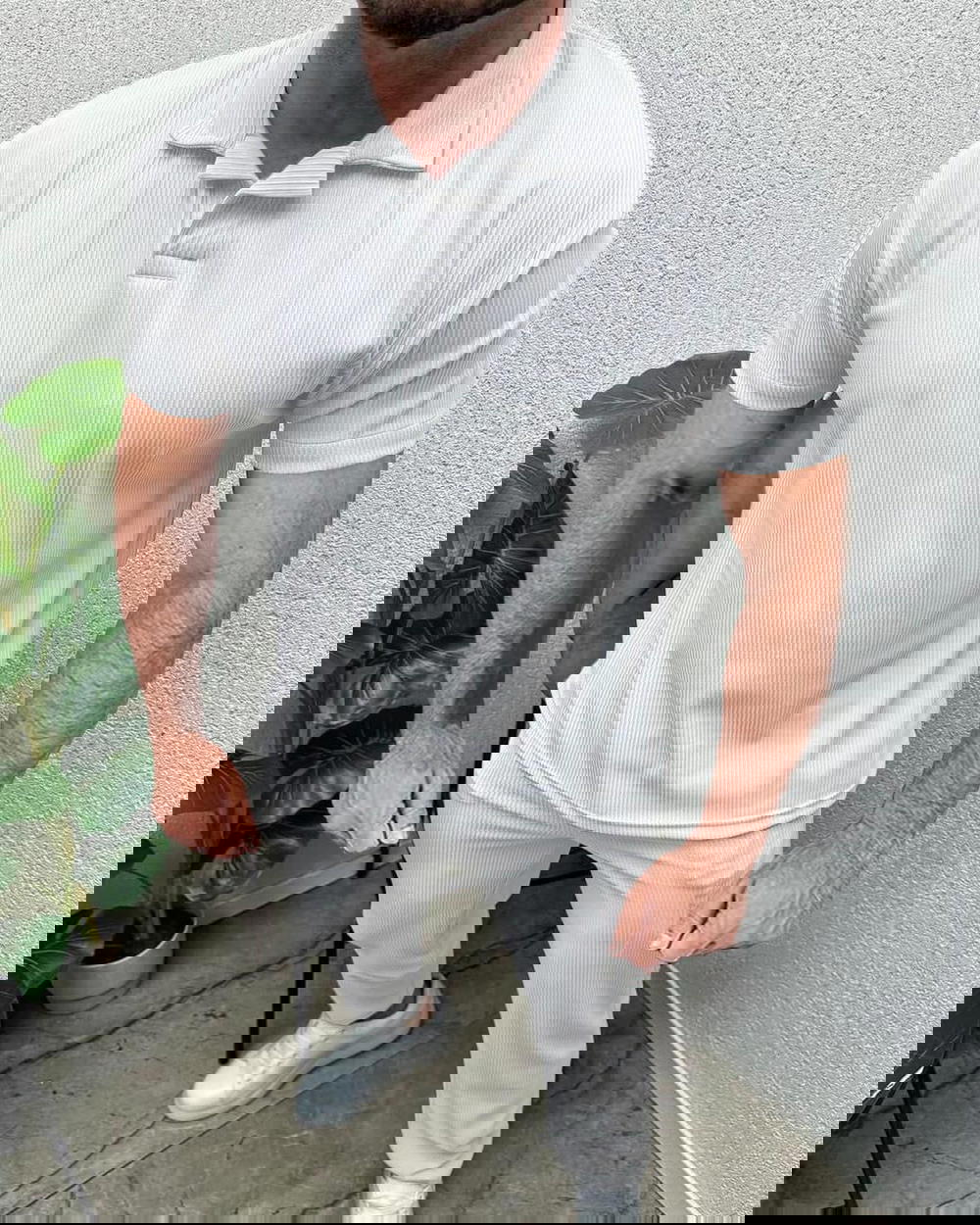 سـوت كاردونية  Preview Image