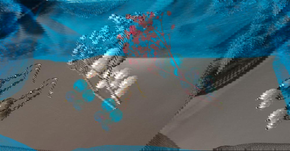 Crystal Earrings  Preview Image