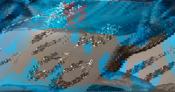 Crystal Earrings  Image 2 Preview