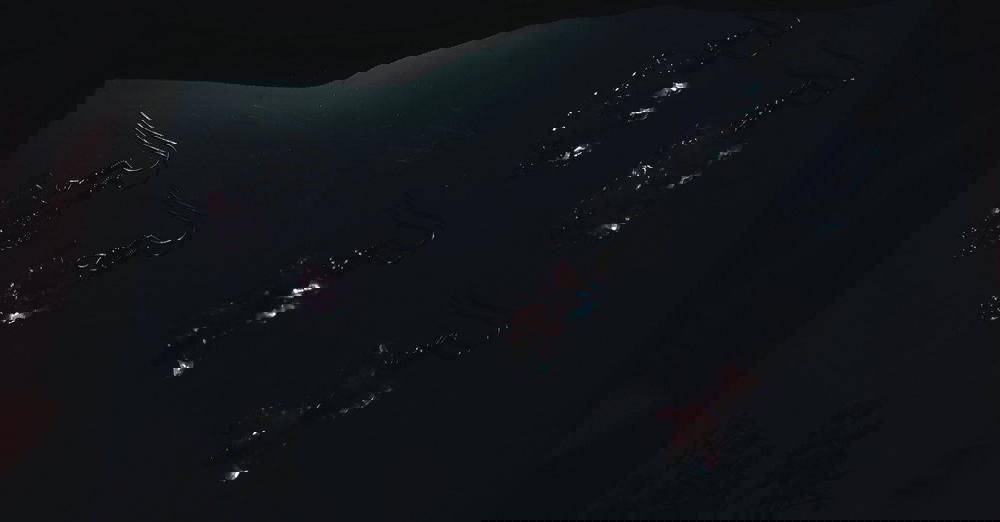 Butterfly oooooo Preview Image