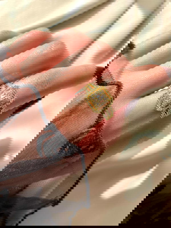 Gold plated Square Image 5 Preview