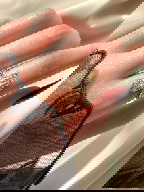 Gold plated ring اختاروا الفص  🪄 Image 6 Preview