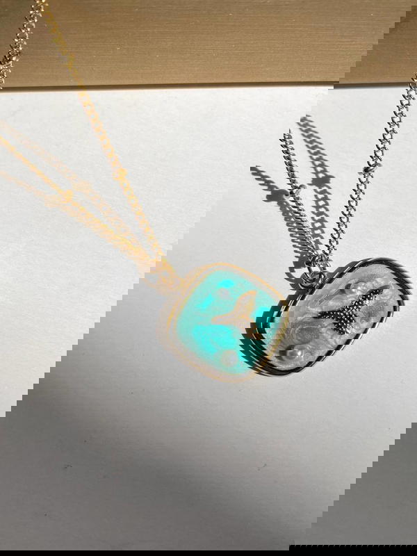 Seashell  🌊⋆ °.🐚⋆ Image 1 Preview