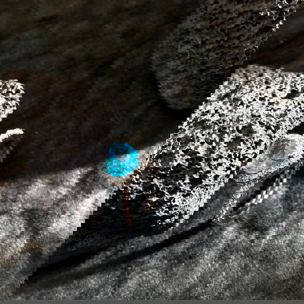 باندور 🫶🏻  Image 5 Preview