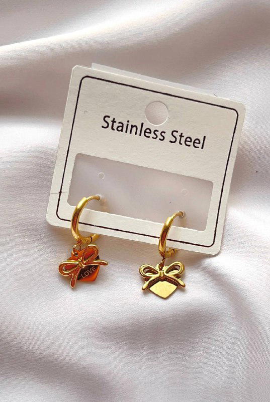 Stainless earrings ๐ Preview Image