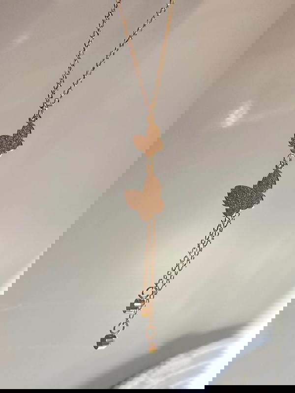 longitudinal butterfly ⋆.🦋༘  Image 2 Preview