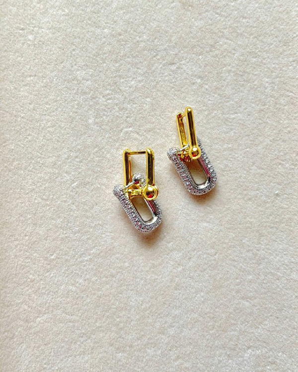 Tiffany Chic Earrings Image 1 Preview