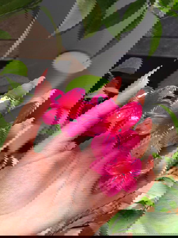 ููุงุด ูุฑุฏู  ๐ Image 1 Preview