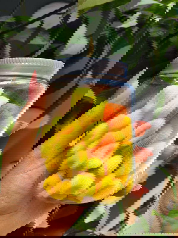 A beautiful hair tie jar ูู ุงููุงู ูุชูุฑ Image 9 Preview