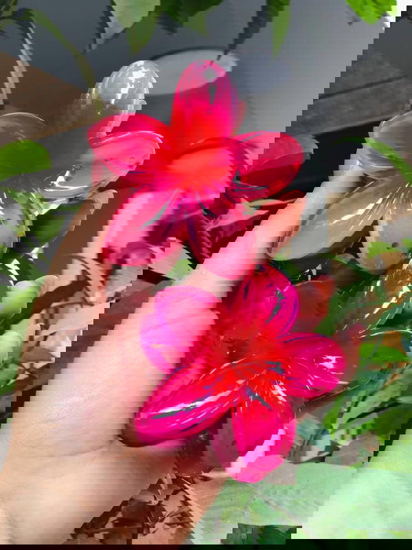 Rose glove ๐ธ๐๐๐ท Image 7 Preview